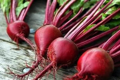 最有營(yíng)養(yǎng)的十種食物,釋迦果上榜,第五被稱為天然抗氧化劑